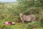 KENYA 2021