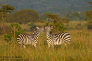 KENYA 2021