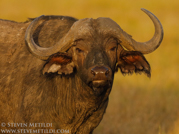 NORTHERN KENYA