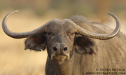 NORTHERN KENYA
