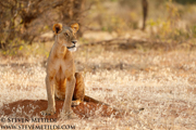 NORTHERN KENYA