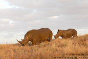NORTHERN KENYA