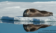 SVALBARD AND THE NORWEGIAN COAST