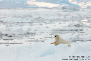 SVALBARD AND THE NORWEGIAN COAST