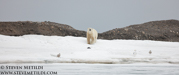 SVALBARD AND THE NORWEGIAN COAST
