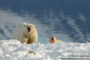 SVALBARD AND THE NORWEGIAN COAST
