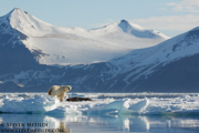SVALBARD AND THE NORWEGIAN COAST