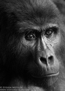 CLASSIC EAST AFRICA (Black & White)